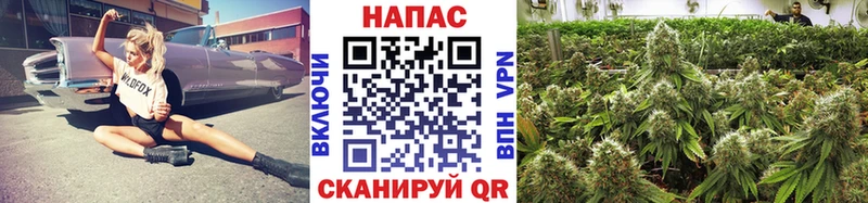 где найти   Кинель  Бошки марихуана Bruce Banner 